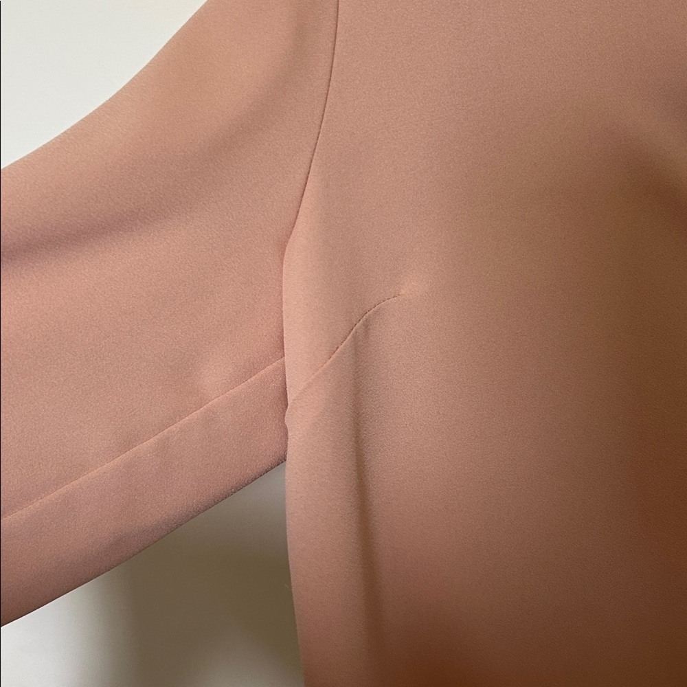 Forever 21 || Wilfred Soft Pink Button-Up Blouse - Picture 8 of 8